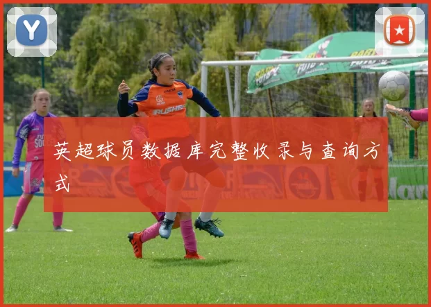 英超球员数据库完整收录与查询方式