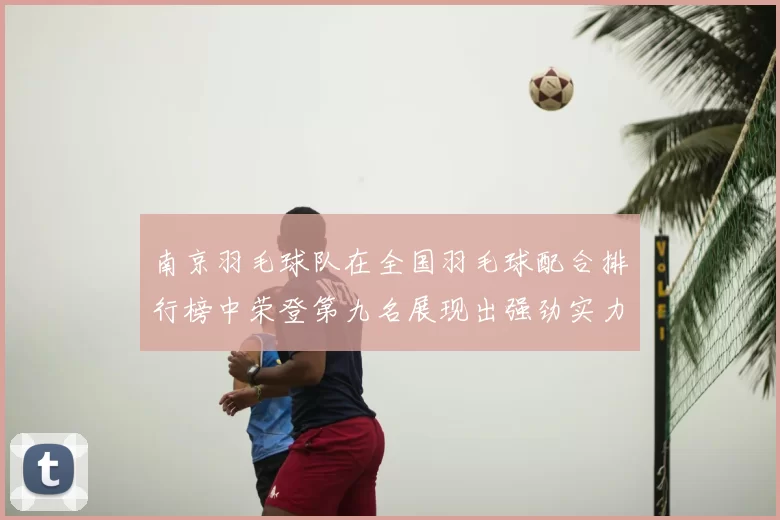 南京羽毛球队在全国羽毛球配合排行榜中荣登第九名展现出强劲实力与团队默契