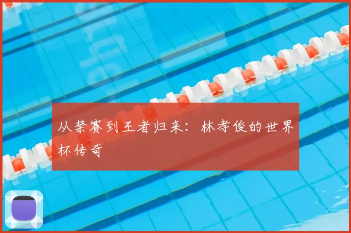 从禁赛到王者归来:林孝俊的世界杯传奇