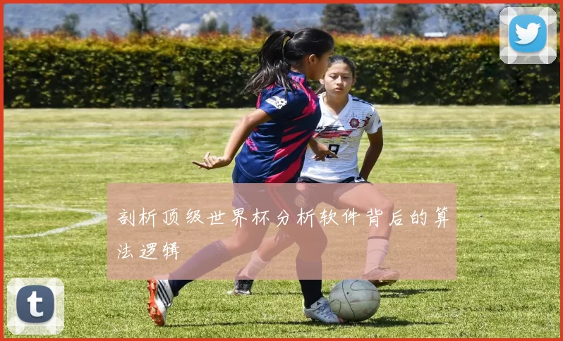 剖析顶级世界杯分析软件背后的算法逻辑