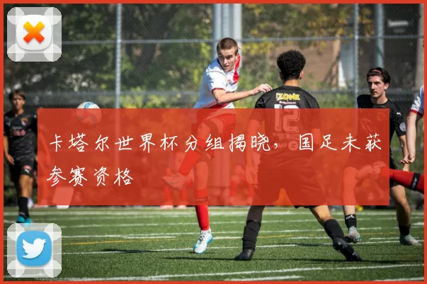 卡塔尔世界杯分组揭晓,国足未获参赛资格