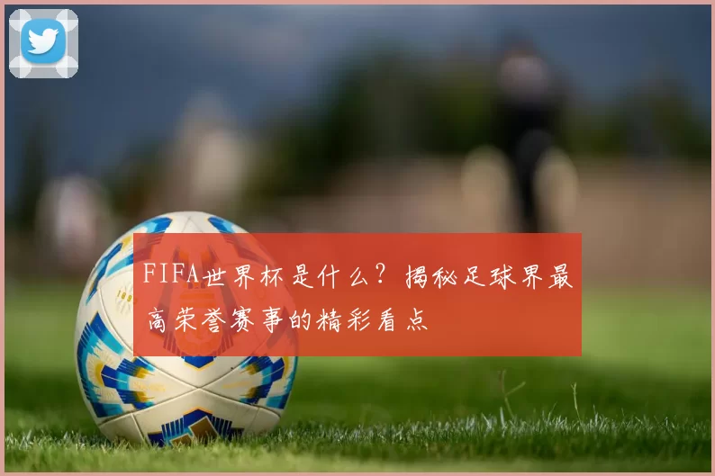 FIFA世界杯是什么?揭秘足球界最高荣誉赛事的精彩看点