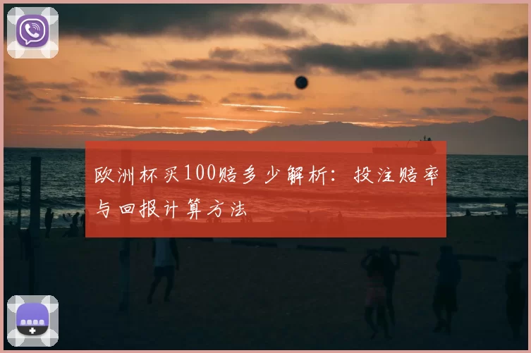 欧洲杯买100赔多少解析:投注赔率与回报计算方法