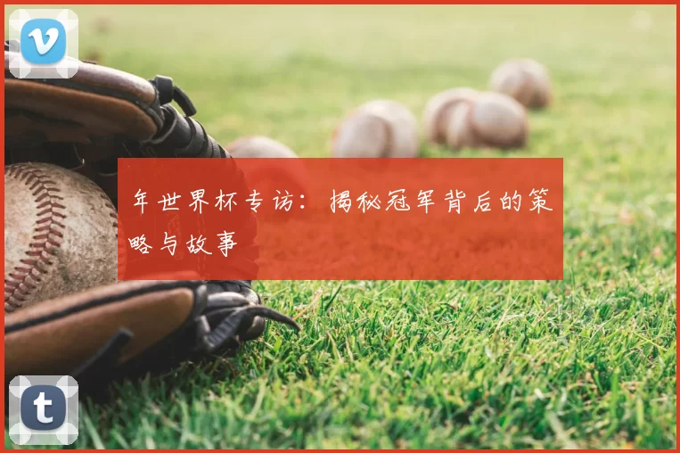 年世界杯专访:揭秘冠军背后的策略与故事