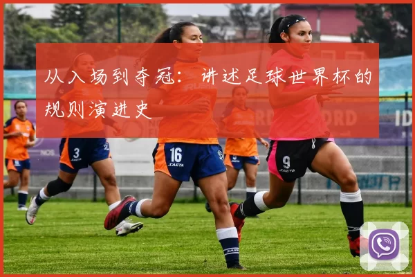 从入场到夺冠:讲述足球世界杯的规则演进史