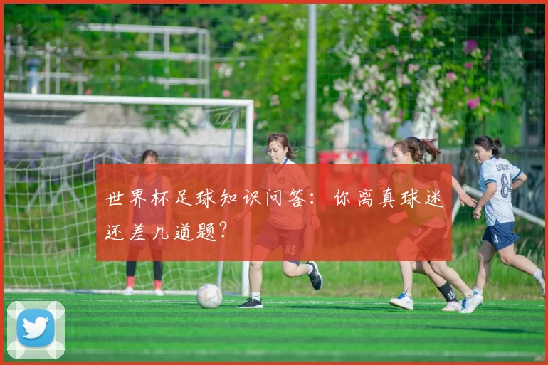 世界杯足球知识问答：你离真球迷还差几道题？