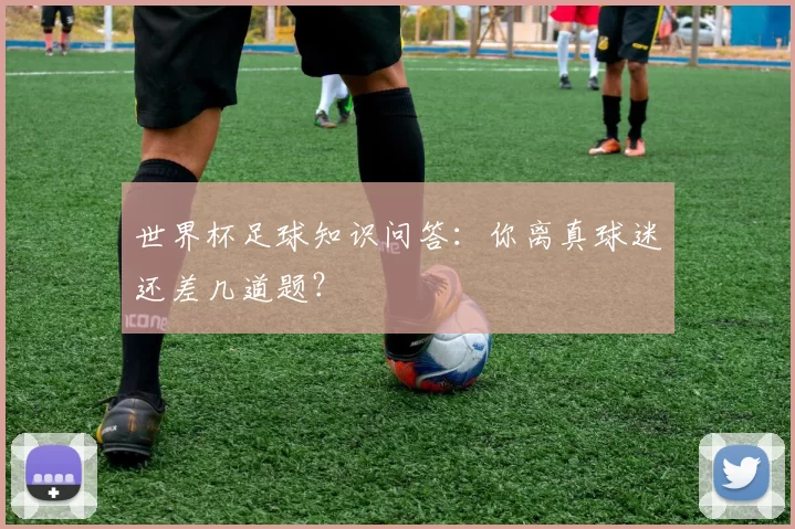 世界杯足球知识问答:你离真球迷还差几道题?