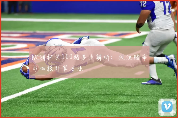 欧洲杯买100赔多少解析:投注赔率与回报计算方法