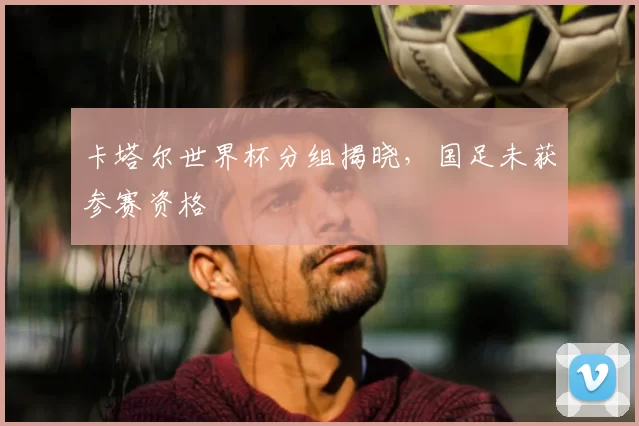 卡塔尔世界杯分组揭晓,国足未获参赛资格