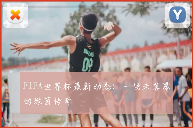 FIFA世界杯最新动态：一场未落幕的绿茵传奇