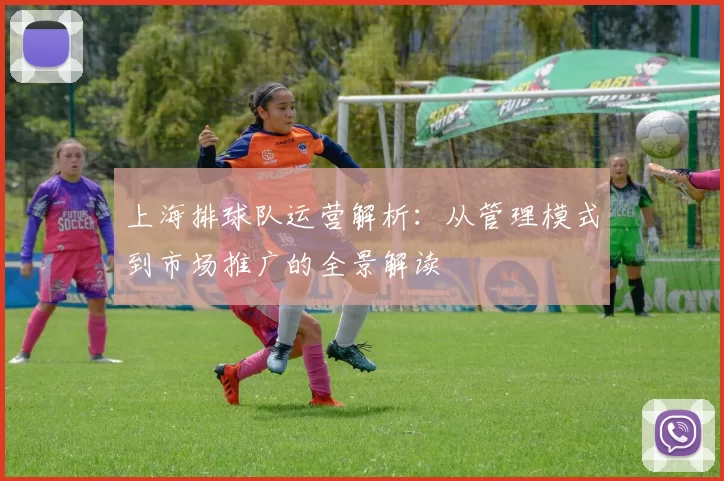 上海排球队运营解析:从管理模式到市场推广的全景解读
