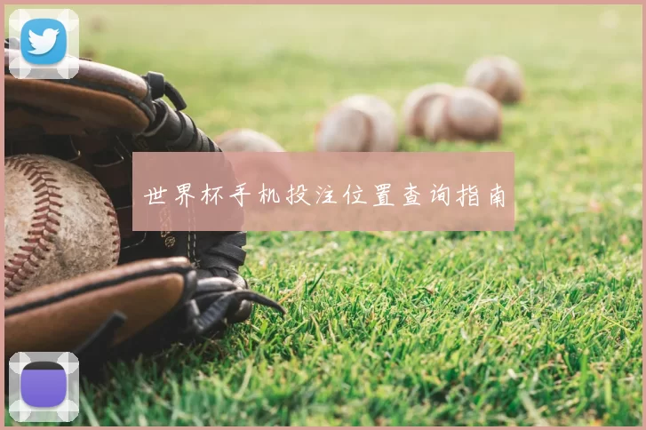 世界杯手机投注位置查询指南