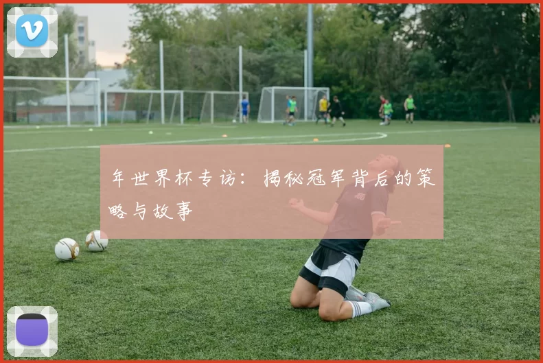 年世界杯专访：揭秘冠军背后的策略与故事