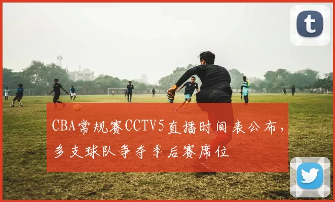 CBA常规赛CCTV5直播时间表公布，多支球队争夺季后赛席位