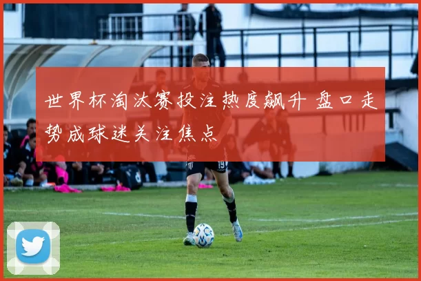 世界杯淘汰赛投注热度飙升 盘口走势成球迷关注焦点