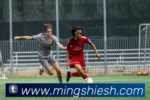 多媒体互动体验